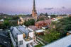 40 Collins Street, Annandale, NSW 2038-Image