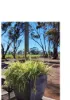 40 Connell Street, Kondinin, WA 6367-Image