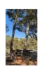 40 Connell Street, Kondinin, WA 6367-Image