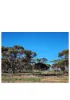 40 Connell Street, Kondinin, WA 6367-Image