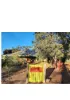 40 Connell Street, Kondinin, WA 6367-Image