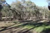 40 Coopers Lane, Wedderburn, Vic 3518-Image