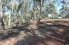 40 Coopers Lane, Wedderburn, Vic 3518-Image