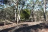 40 Coopers Lane, Wedderburn, Vic 3518-Image