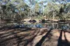 40 Coopers Lane, Wedderburn, Vic 3518-Image