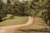 40 Donnellys Road, Ridgewood, Qld 4563-Image