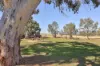 40 Donovans Way, Mansfield, Vic 3722-Image