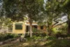 40 Dorset Street, Ashgrove, Qld 4060