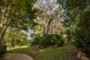 40 Dorset Street, Ashgrove, Qld 4060-Image