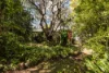 40 Dorset Street, Ashgrove, Qld 4060-Image