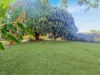 40 Doyle Street, Mareeba, Qld 4880-Image