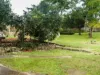 40 Dumaresq St, Gordon, NSW 2072-Image