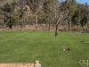 40 Edgerton Drive, Plainland, Qld 4341-Image