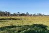 40 Elizabeth Street, Wallalong, NSW 2320-Image