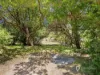 40 Ennisvale Avenue, Sandy Point, Vic 3959-Image