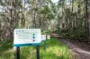 40 Ferguson Road, Pomona, Qld 4568-Image