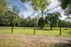 40 Ferguson Road, Pomona, Qld 4568-Image
