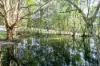 40 Ferguson Road, Pomona, Qld 4568-Image