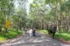 40 Ferguson Road, Pomona, Qld 4568-Image