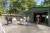 40 Ferguson Road, Pomona, Qld 4568-Image