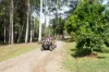 40 Ferguson Road, Pomona, Qld 4568-Image