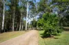 40 Ferguson Road, Pomona, Qld 4568-Image