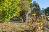 40  Ferntree Road, Eaglehawk Neck, Tas 7179-Image