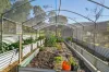40  Ferntree Road, Eaglehawk Neck, Tas 7179-Image