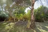 40  Ferntree Road, Eaglehawk Neck, Tas 7179-Image