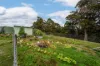 40 Glance Creek Road, Stowport, Tas 7321-Image