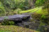 40 Gold Creek Road, North Arm, Qld 4561-Image