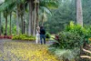 40 Gold Creek Road, North Arm, Qld 4561-Image