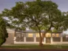 40 Harwood Street, Bardon, Qld 4065-Image