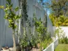 40 Hawkes Avenue, Arana Hills QLD 4054-Image