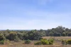 40 Hereford Street, Portarlington, Vic 3223-Image