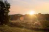 40 Hilda Kincaid Crescent, MacGregor, ACT 2615-Image