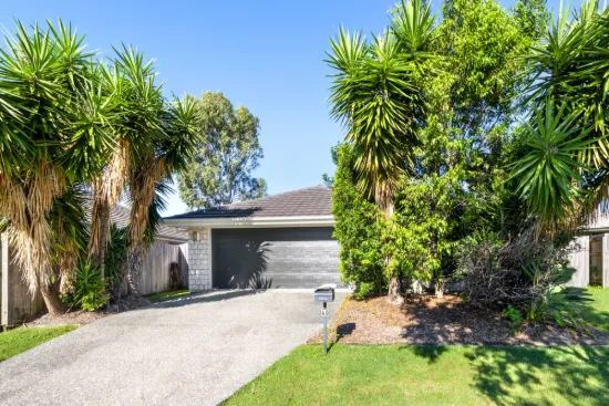 40 Hollyoak Crescent, Pimpama, Qld 4209