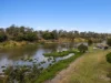 40 Islandview Street, Barellan Point, Qld 4306-Image
