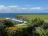 40 Kalang Road, Kiama Heights, NSW 2533-Image