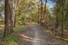 40 Kindred Street, Alexandra Hills, Qld 4161-Image