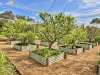 40 King Road, Jalbarragup, WA 6275-Image