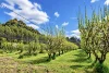 40 King Road, Jalbarragup, WA 6275-Image