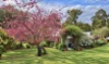 40 King Road, Jalbarragup, WA 6275-Image