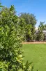 40 Madeley Street, Ocean Grove, Vic 3226-Image