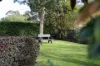 40 Manuka Road, Berwick, Vic 3806-Image
