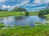 40 McGinn Road, Gheerulla, Qld 4574-Image