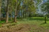 40 McGinn Road, Gheerulla, Qld 4574-Image