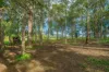 40 McGinn Road, Gheerulla, Qld 4574-Image
