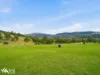 40 Menzies Road, Lachlan, Tas 7140-Image