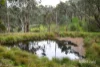 40 Moonlight Road, Kangaroo Ground, Vic 3097-Image
